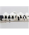 CALVIN SANG CSPO-100 C調 短笛 PICCOLO
